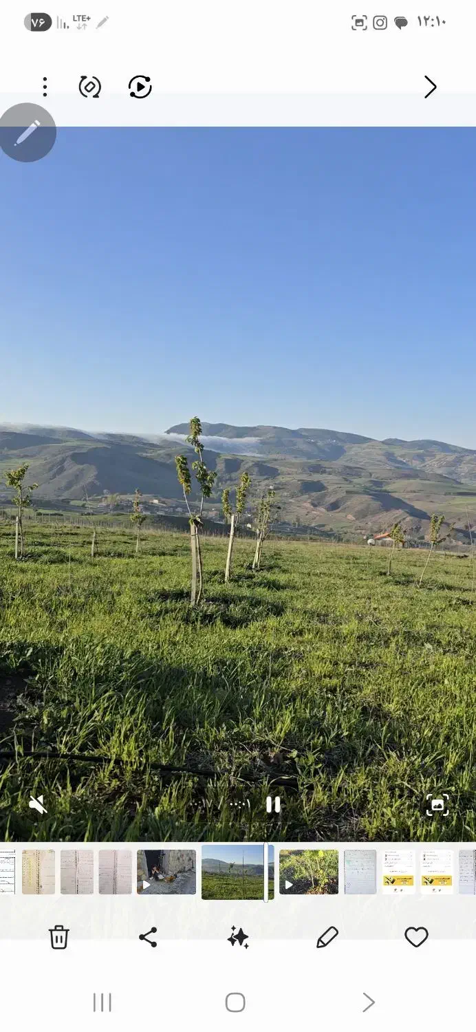 فروش باغ سند دار محصور