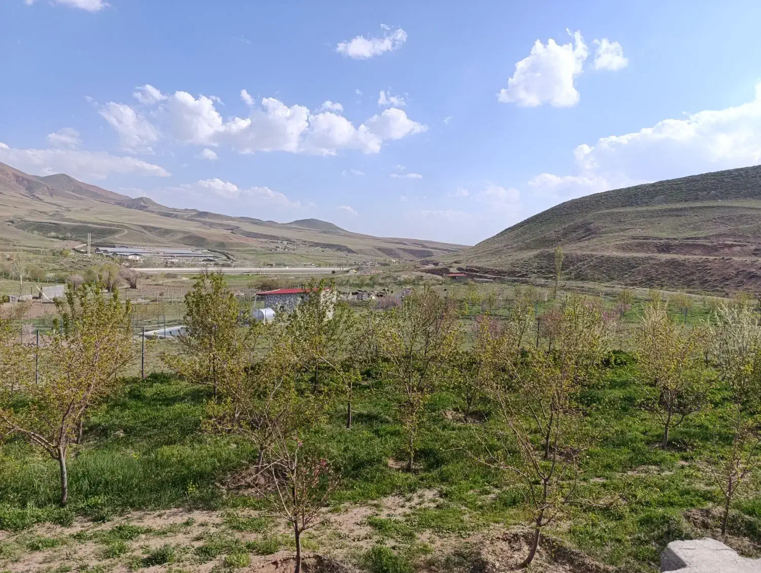 ویلا باغ