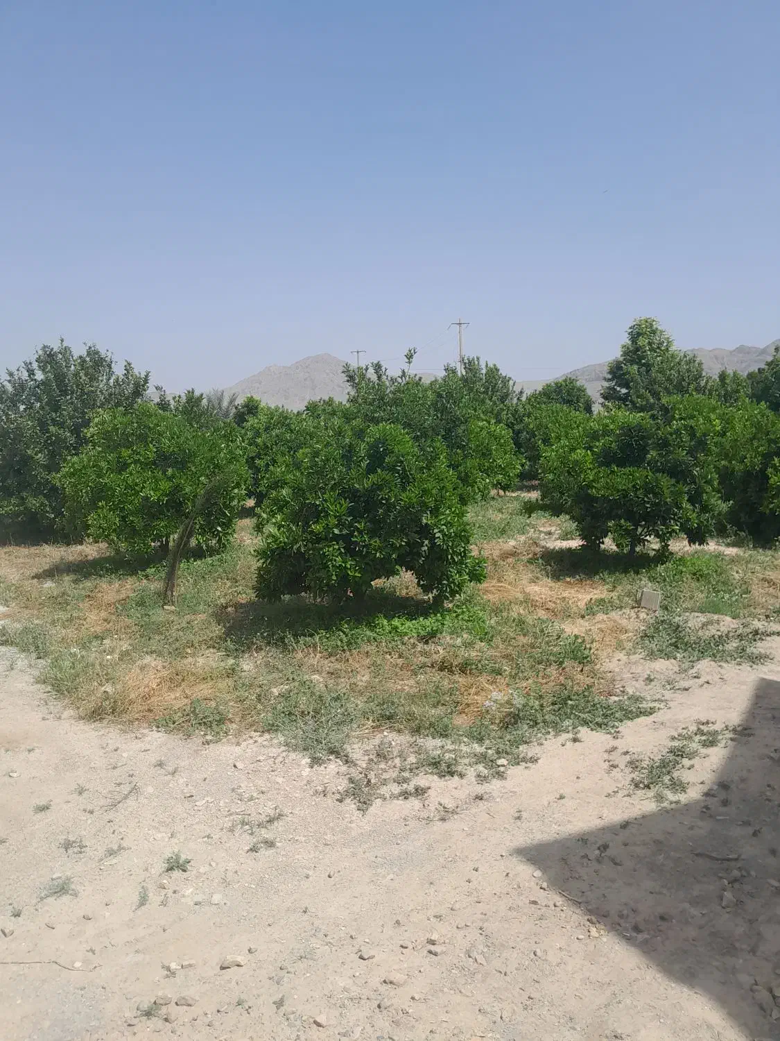 خرید و فروش زمین