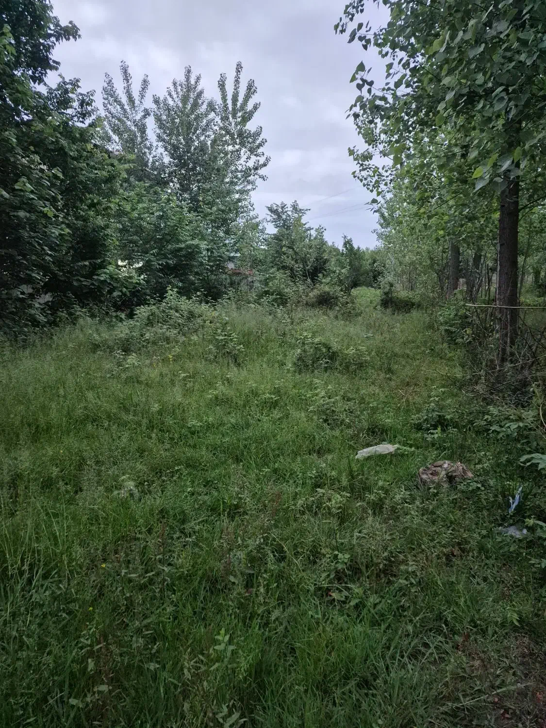 ۳۷۱ متر زمین باغی