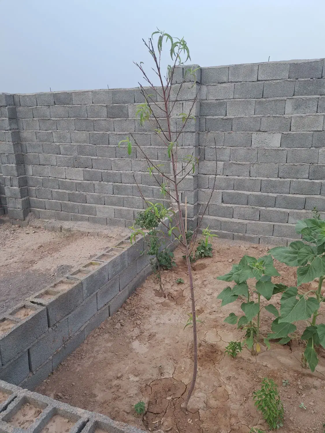 ویلایی ۲۲۰ متری با یک سویت ۵۰ متری مجزا