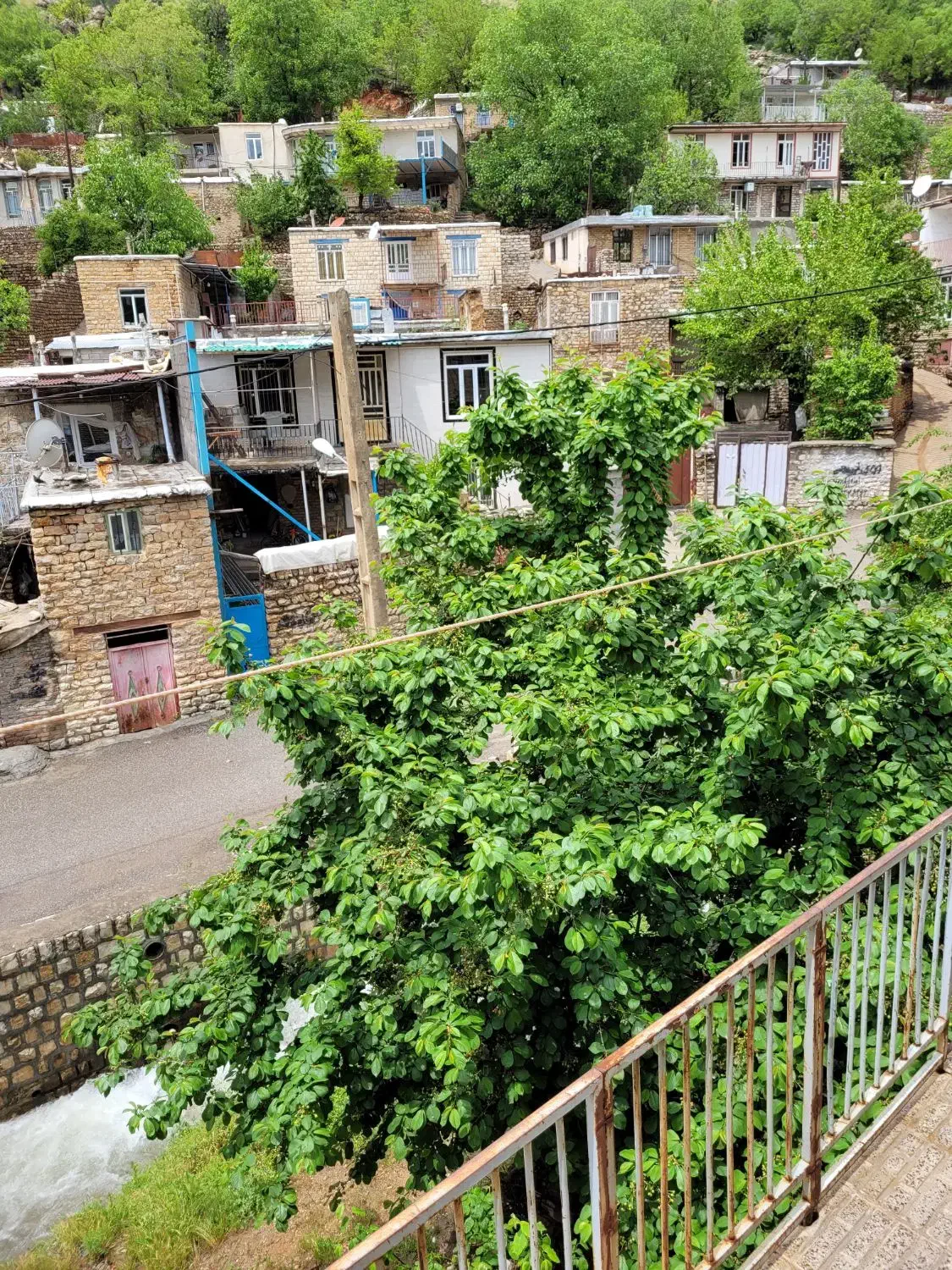 سوییت اجاره ای