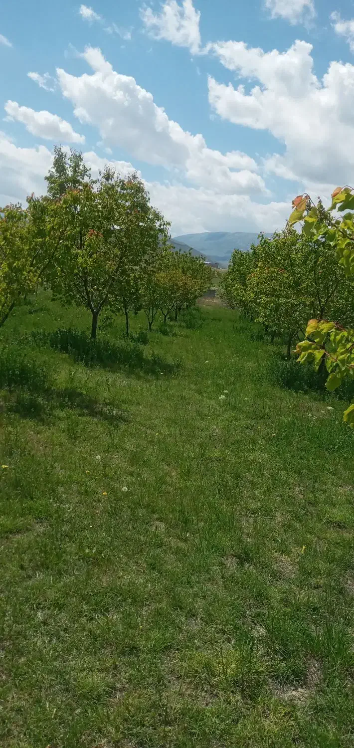 فروش باغ به متراژ ۲۰۰۰ متر در روستای رند