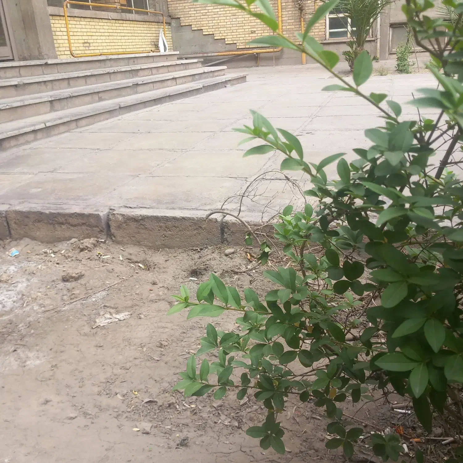 زمین مسکونی۱۶۸متر