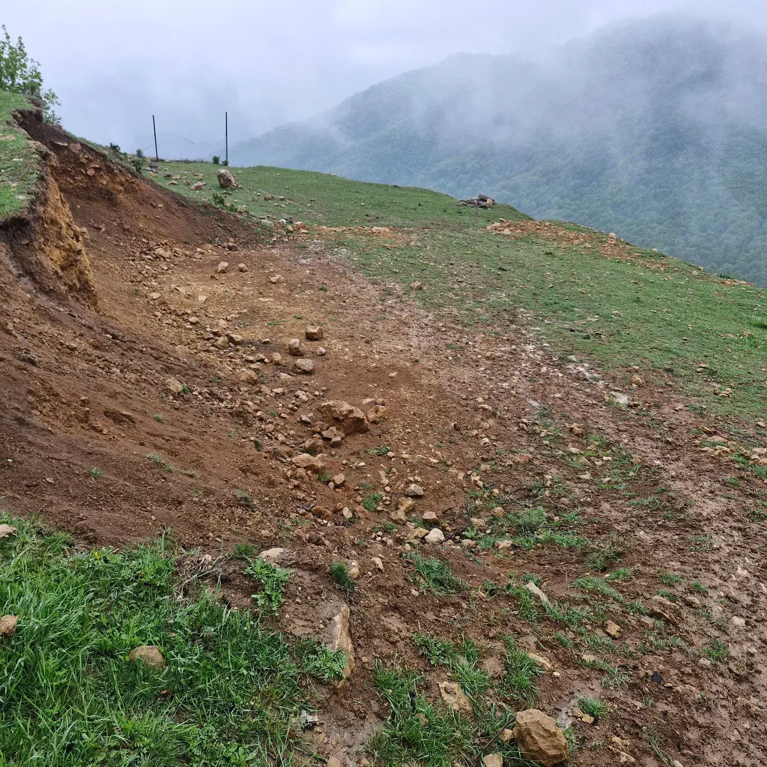 زمین در روستای پاقلعه