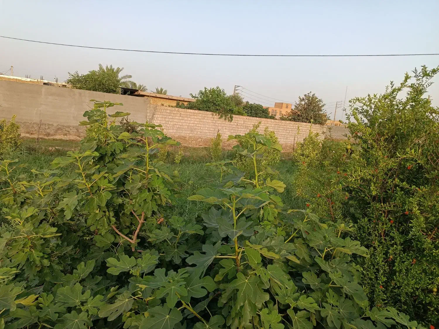 400 متر باغ در باغ شهر سماله