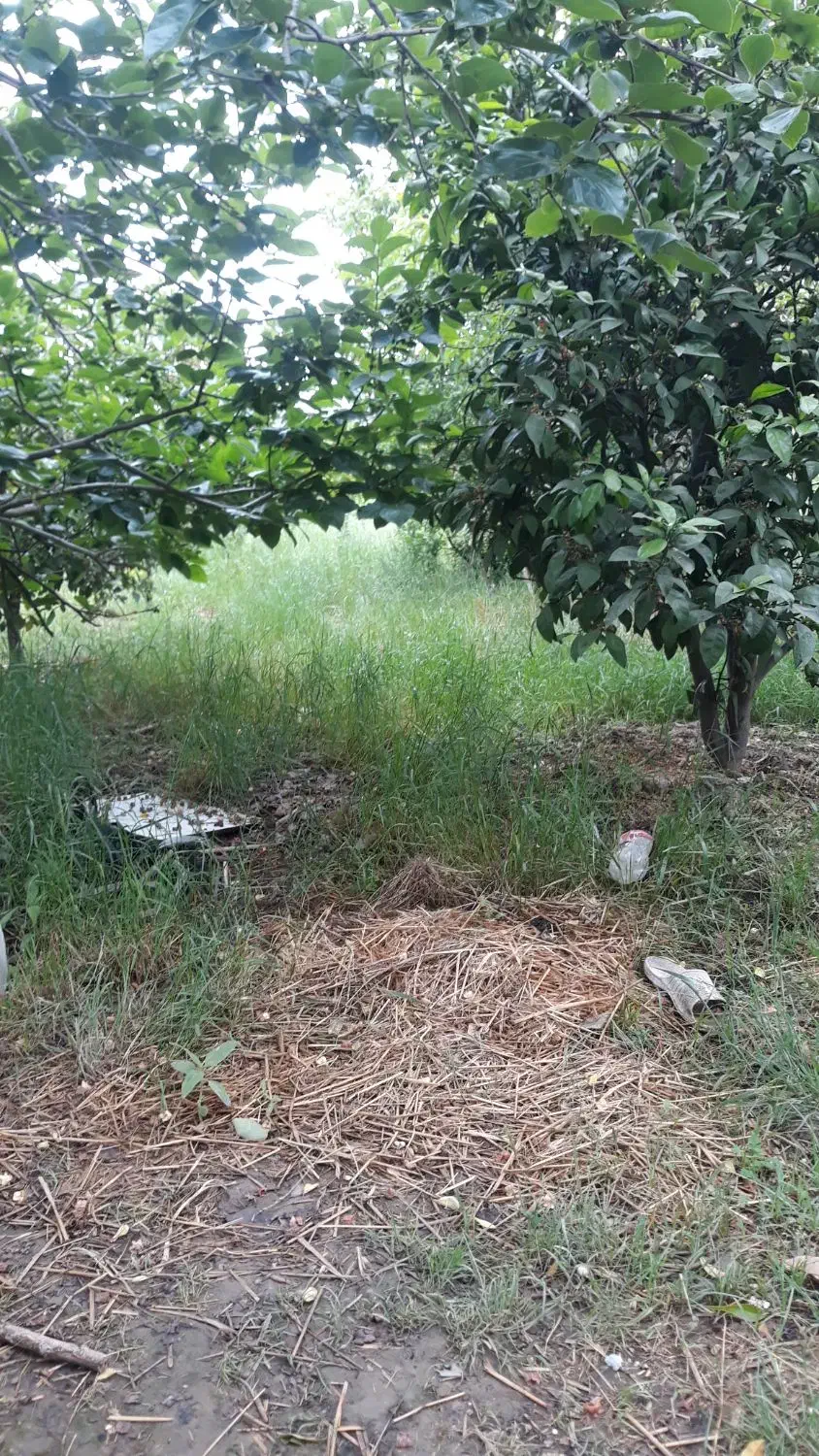 فروش خانه سرا