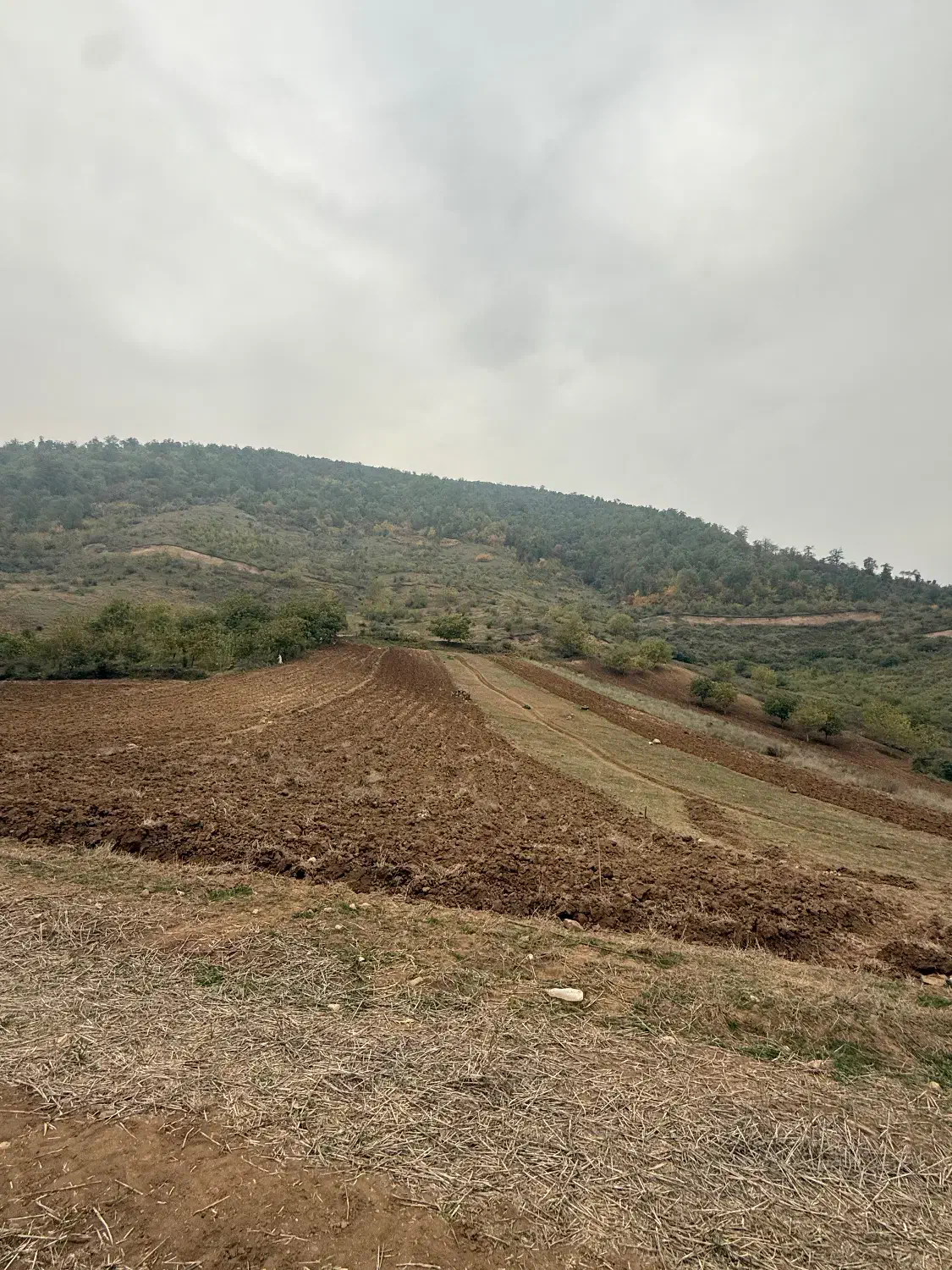 فرصت سرمایه گذاری