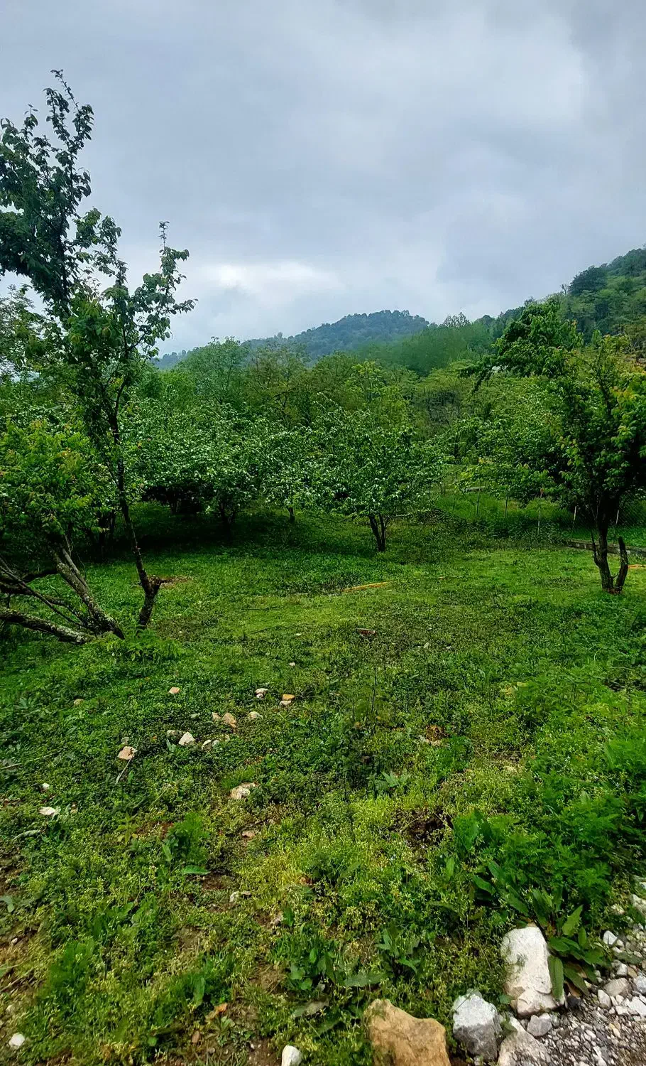 فروش زمین مسکونی