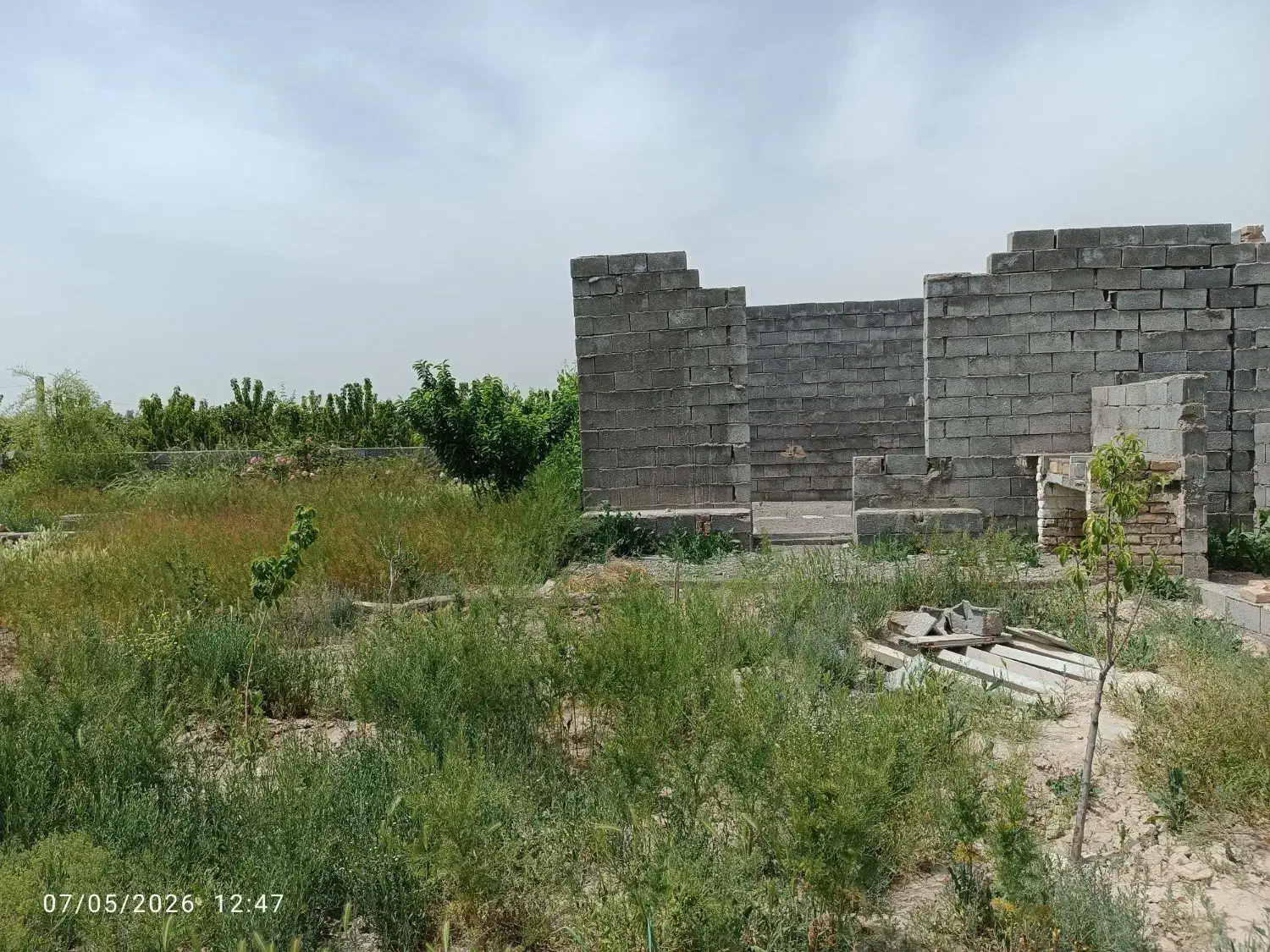 باغچه نیمه کاره فروشی