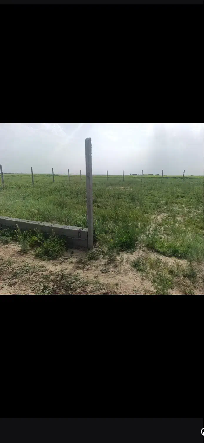 باغچه در روستای علی سید