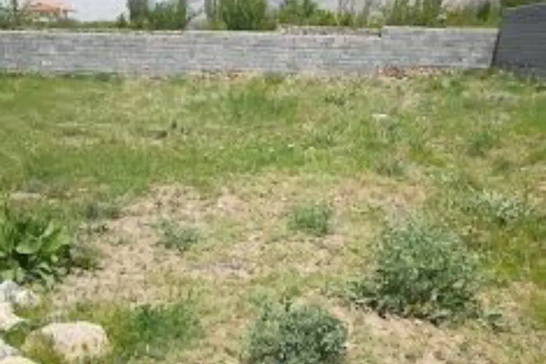 فروش زمین