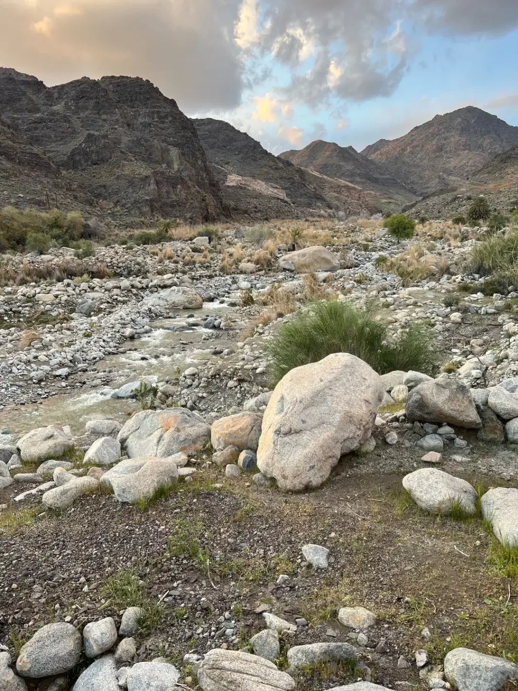 زمین