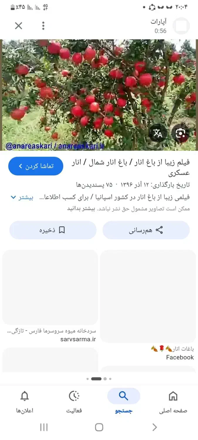 باغ اناری بزرگ واقع در کوهمره سرخی