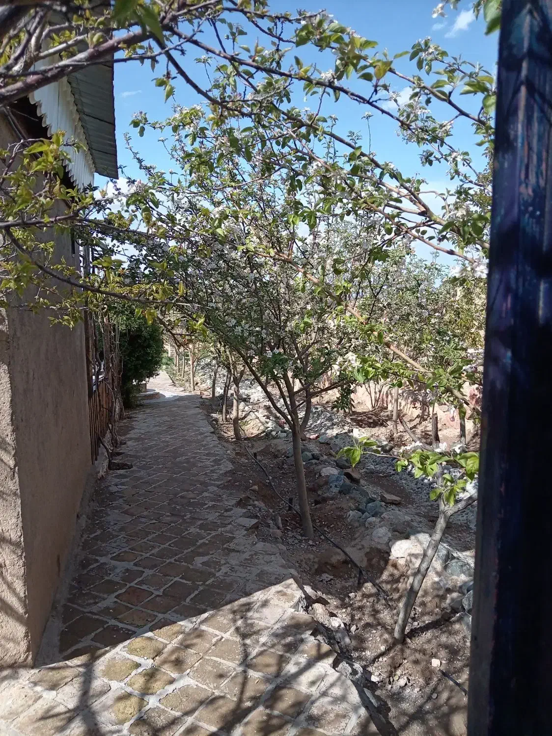زمین دور دیوار در بافت مسکونی روستا (آب برق گاز)