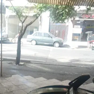 تک واحدی مرتضی گرد