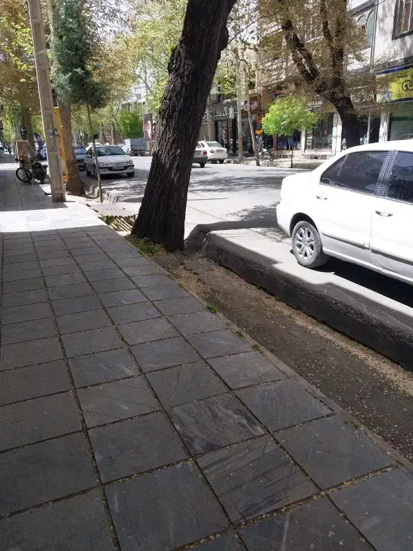 زمین مسکونی ۶دانگ