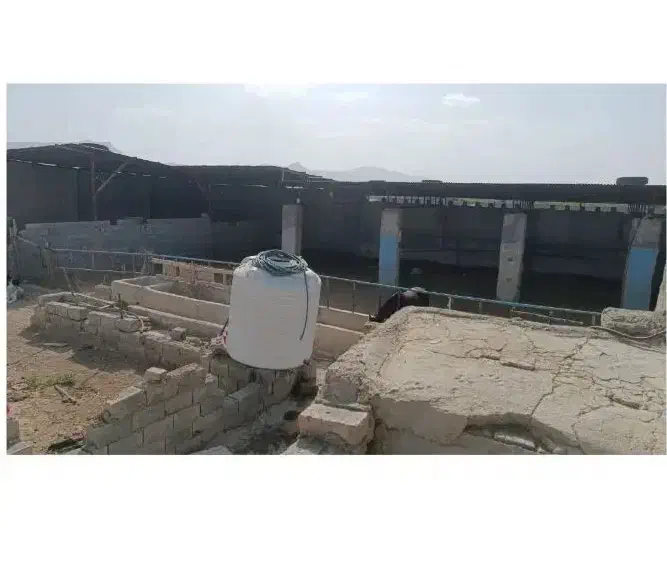 اجاره دام داری