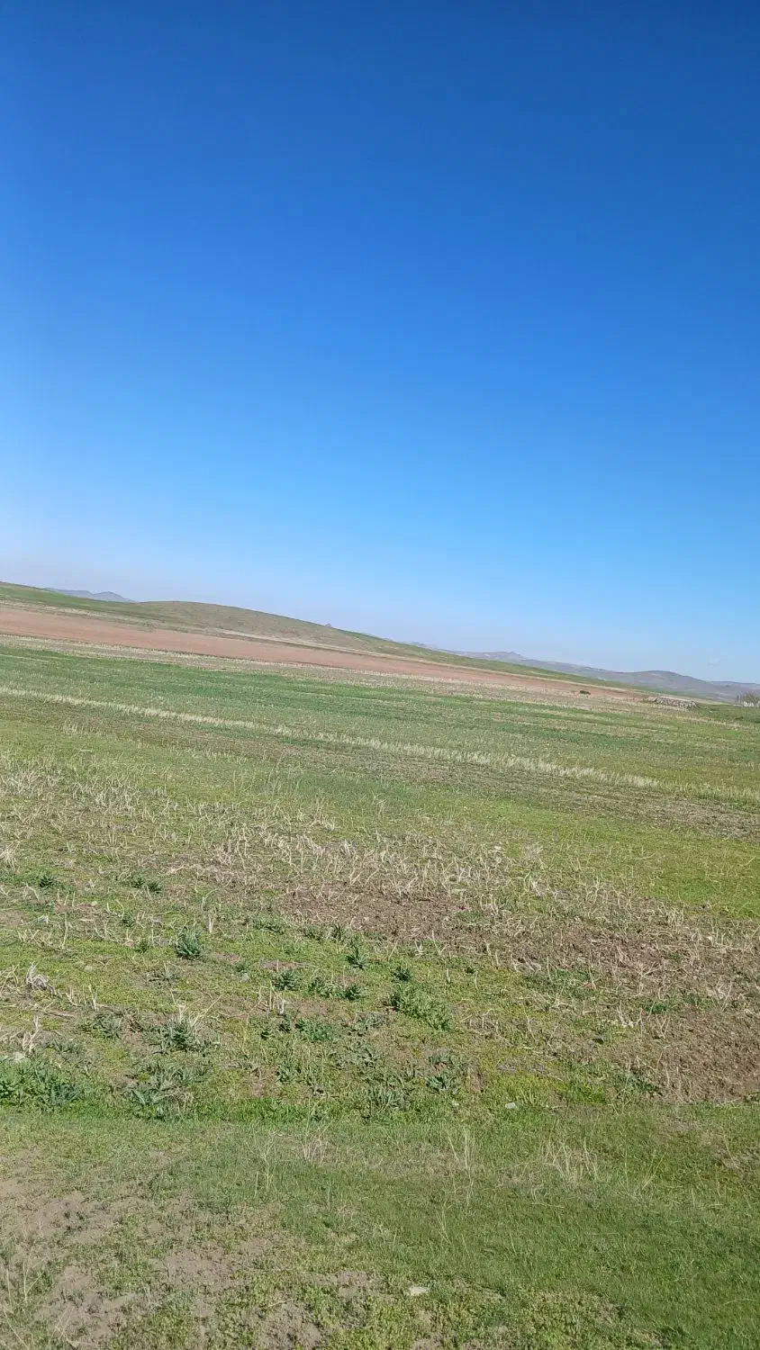 فروشی زمین