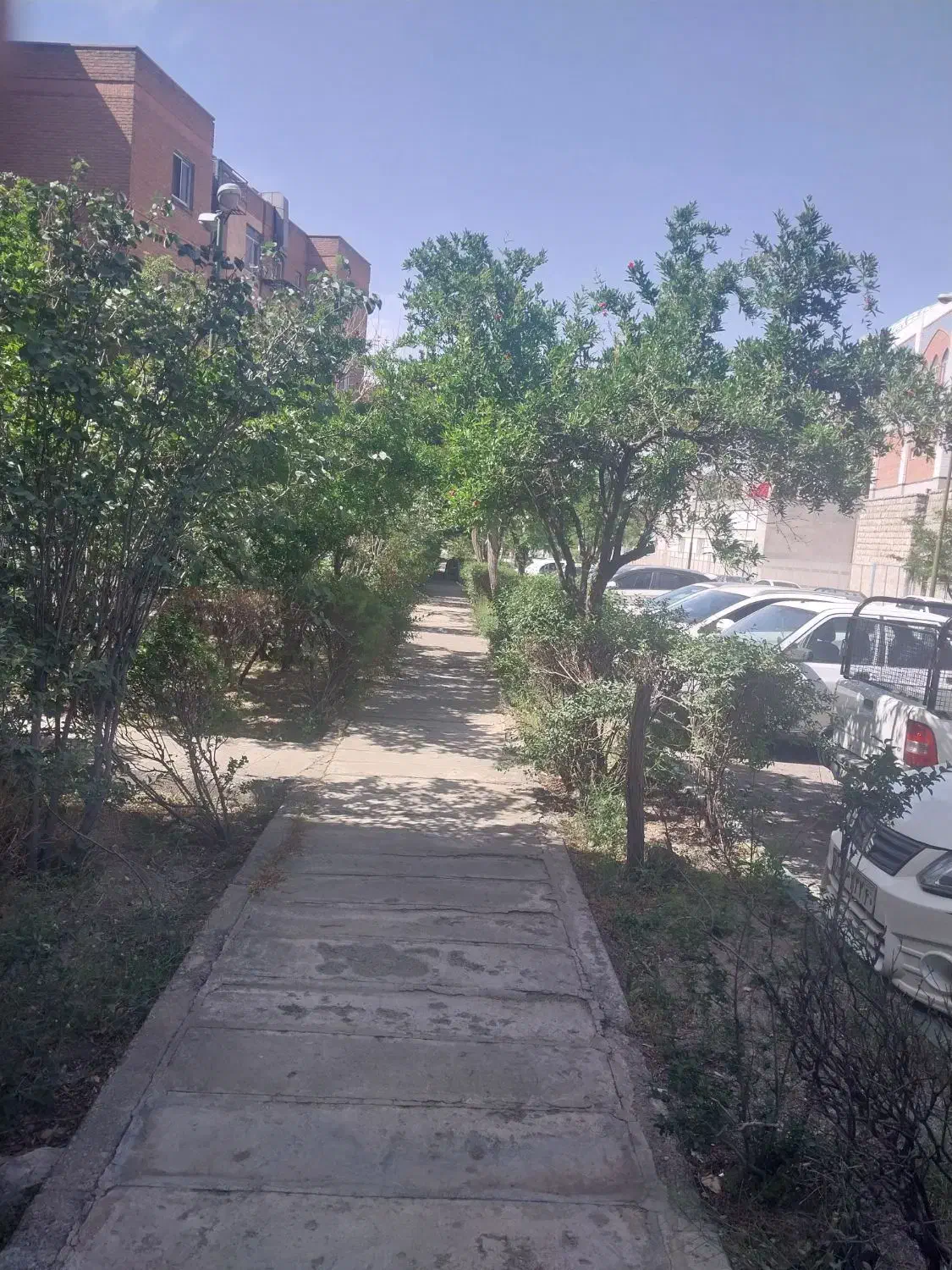 ۸۰متری فروشی دوخواب