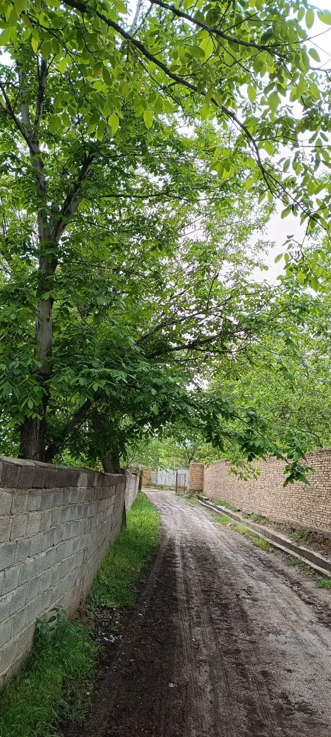 باغ ویلایی در مرند