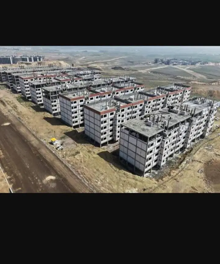 فیش مسکن