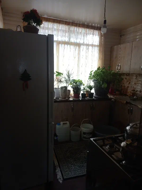 خونه دارم . _ خونه اشتراکی یک خوابه