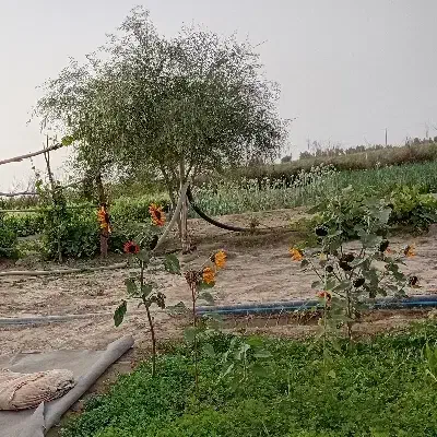 منزل مسکونی در شهرک کهک