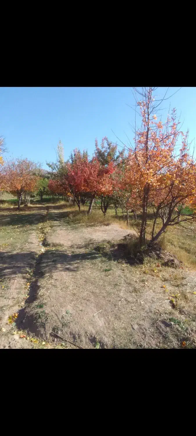 زمین تجاری