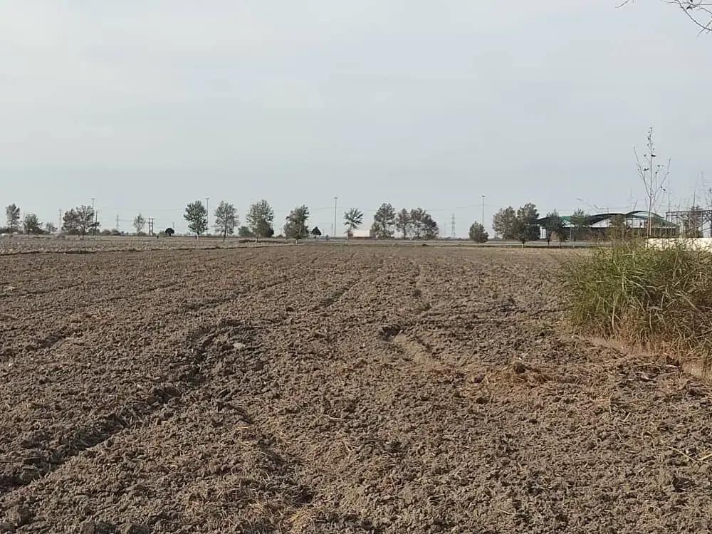 فروش زمین کشاورزی دارای چاه با امکان تغییر کاربری