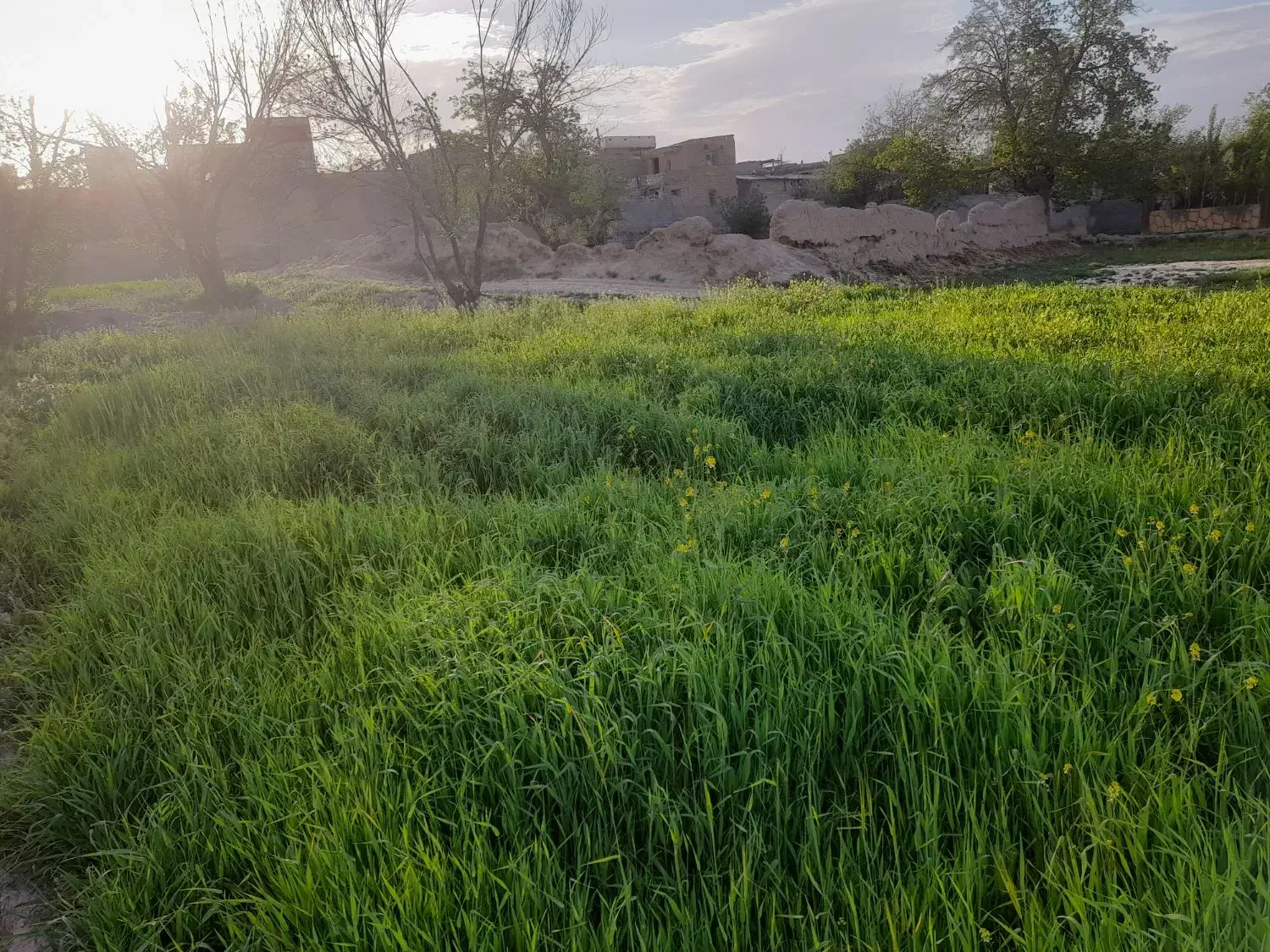 زمین ۵۰۰ متری کشمیری ۶۲