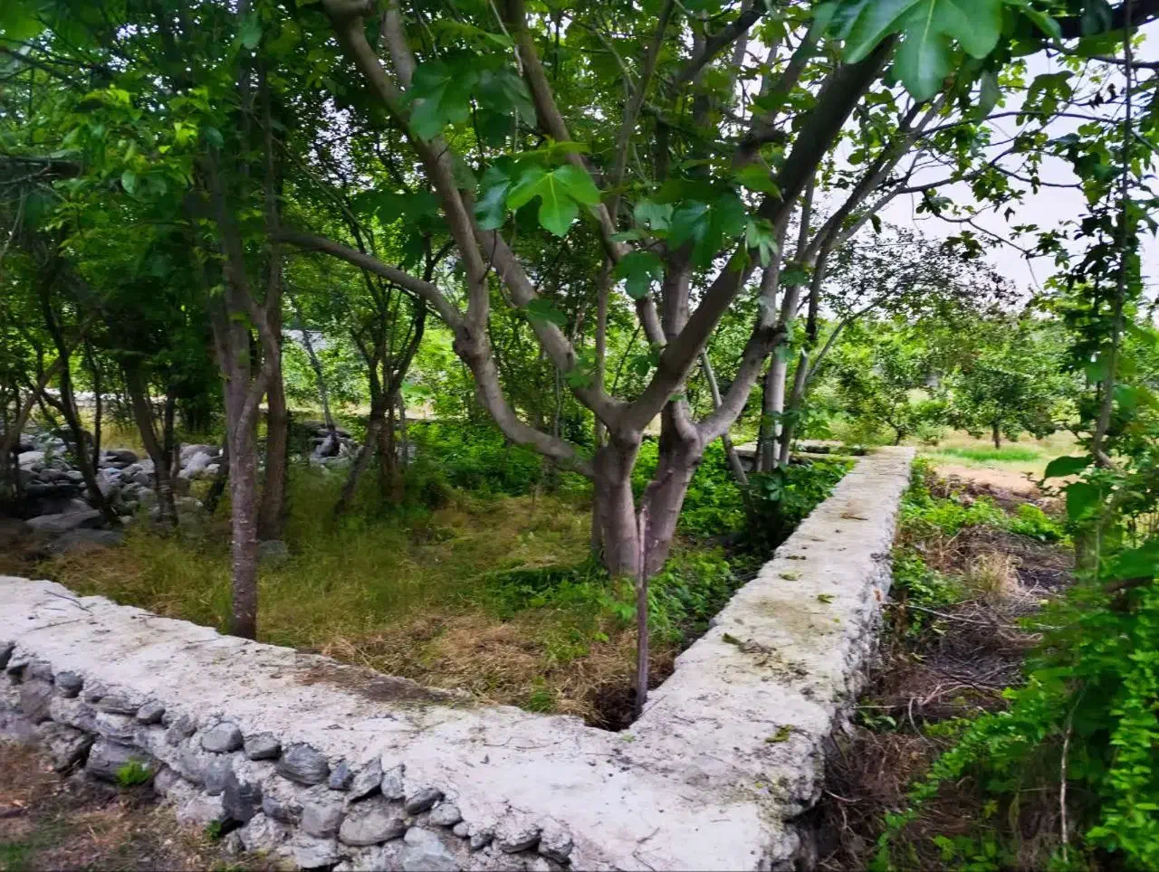 زمین فروشی