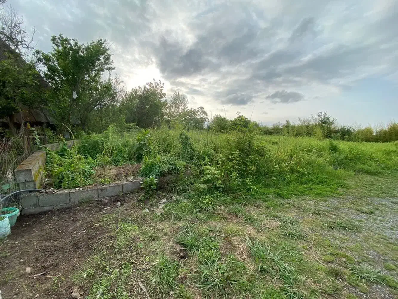 زمین کشاورزی (هادی کیاشهر)