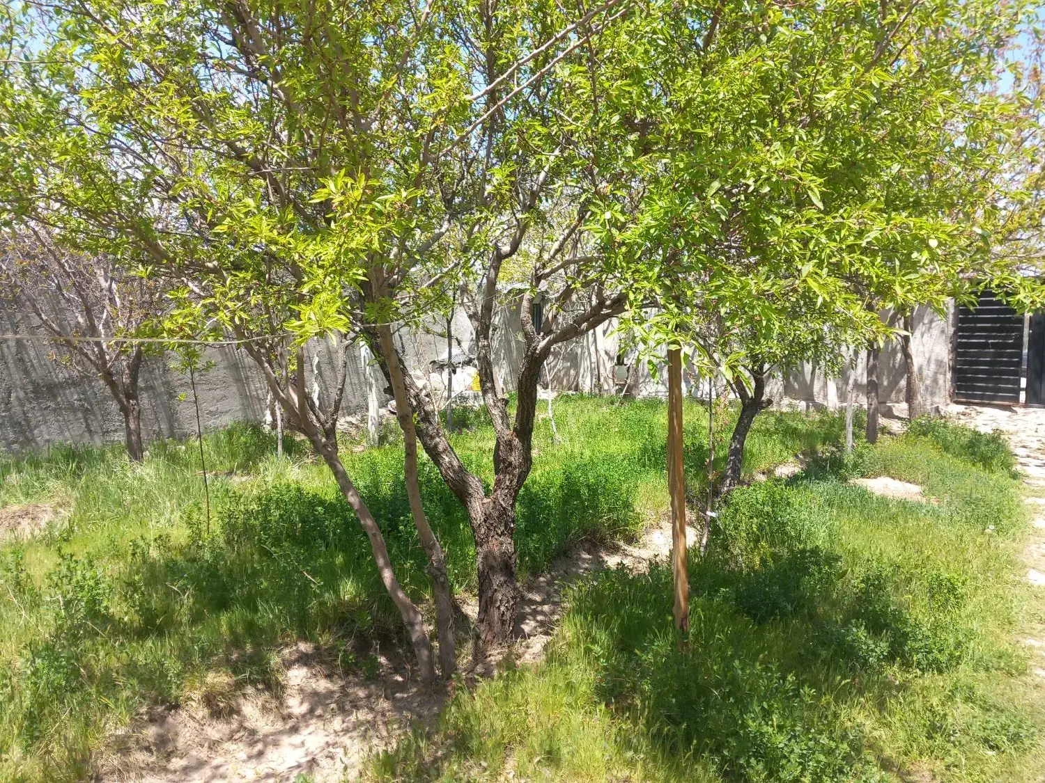 فروش قطعه مسکونی