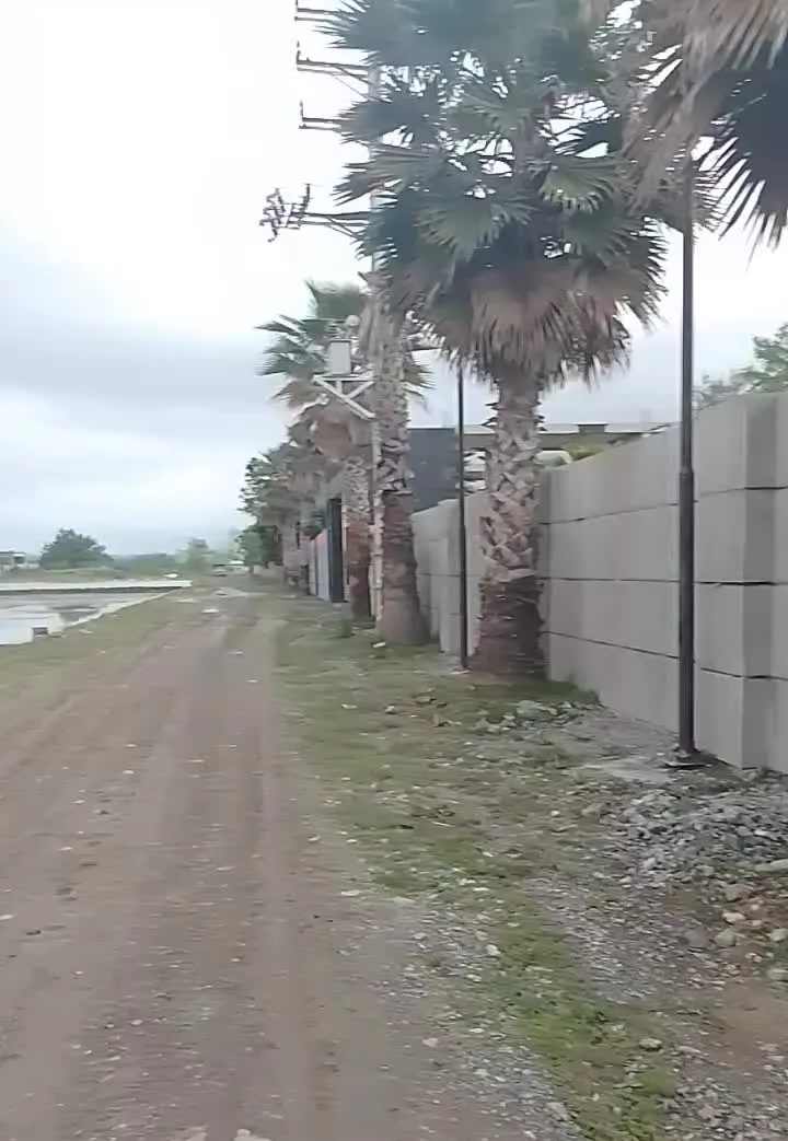 زمین کشاورزی