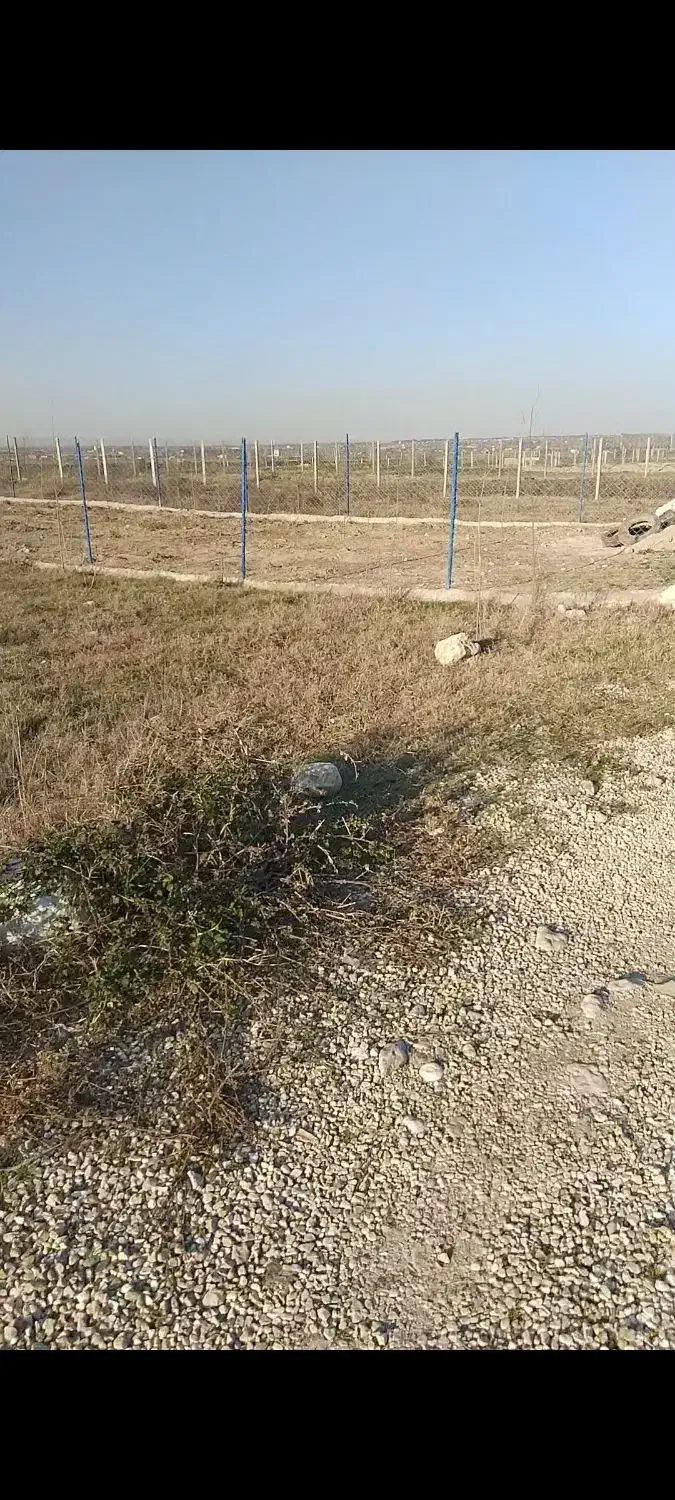 زمین باغی شموشک