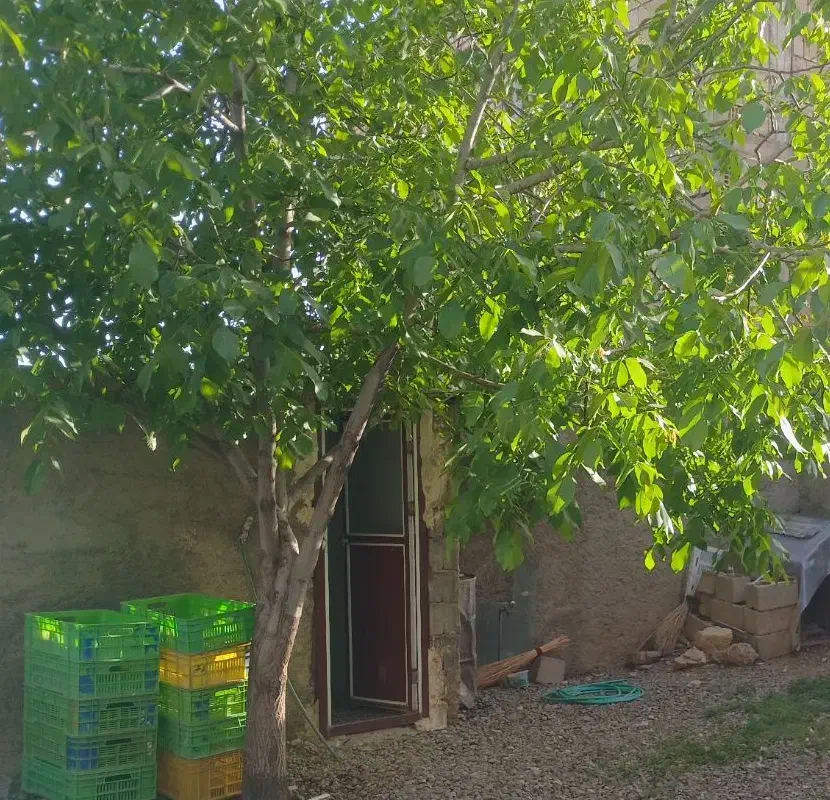 زمین مسکونی