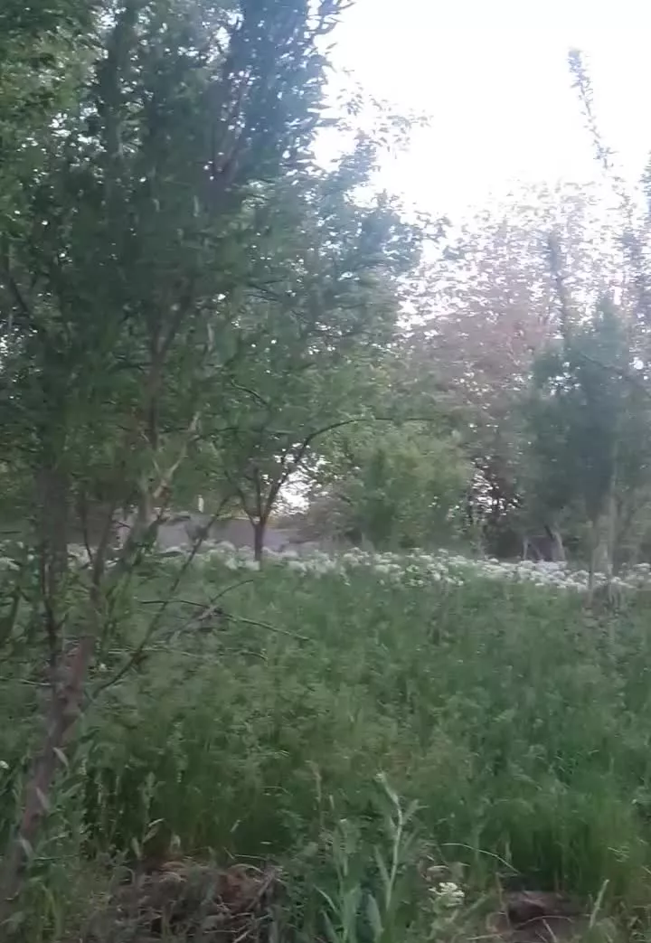 فروش زمین