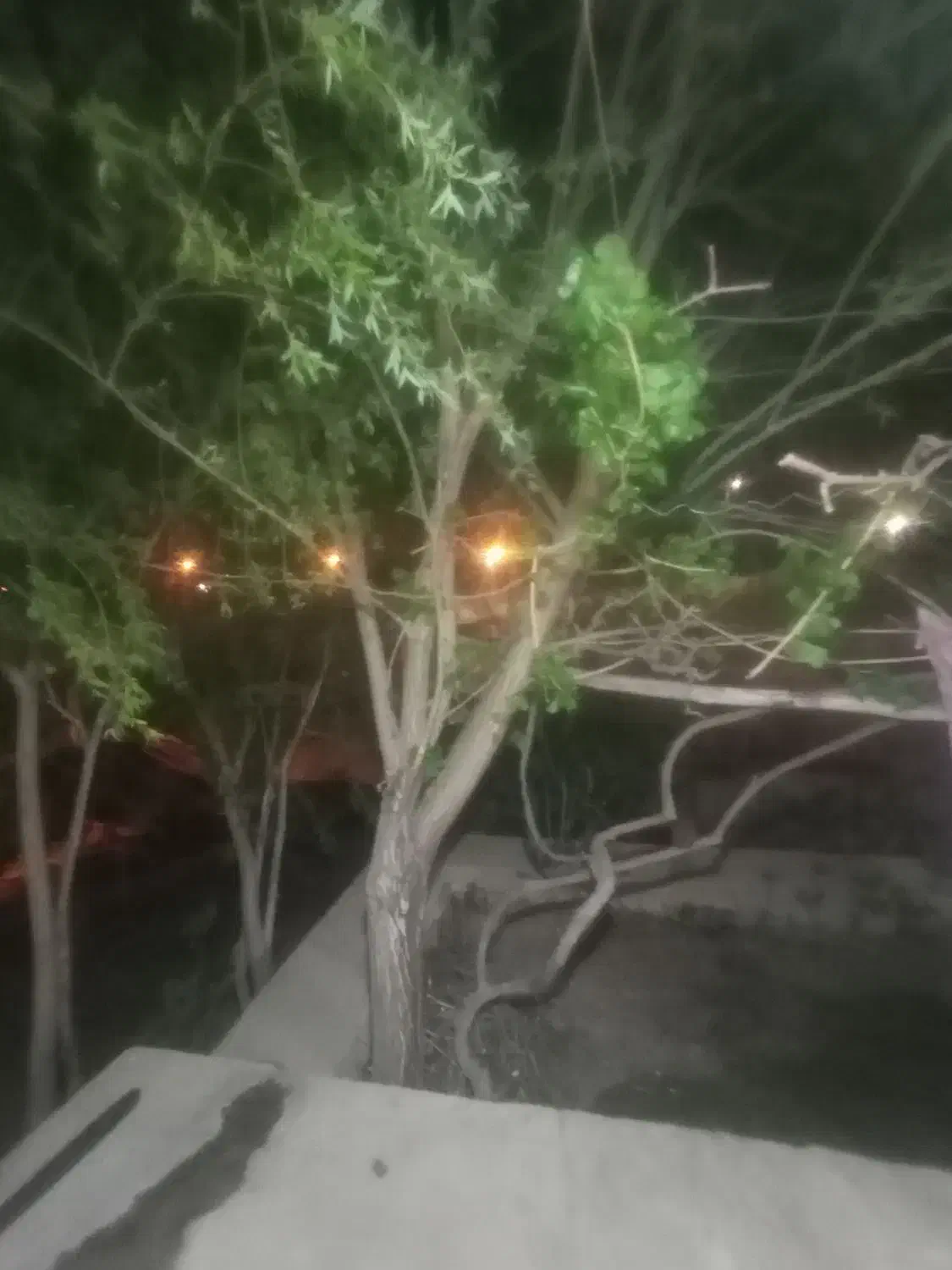 اجاره ویلا سوئیت منزل روستای پل زمانخان