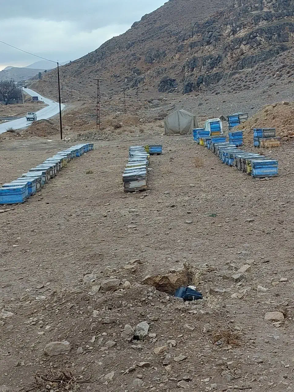 زمین مسکونی