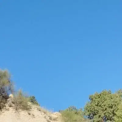 اجاره زمین کشاورزی کوهمره سرخی