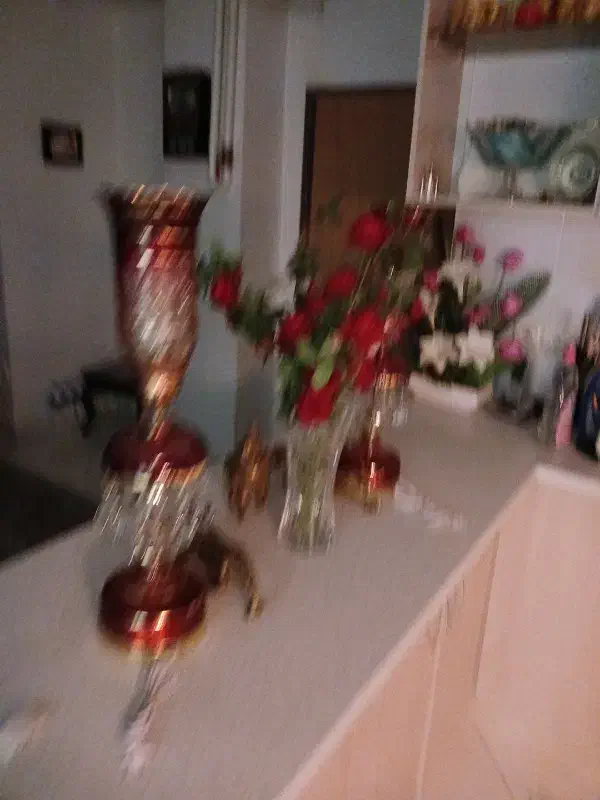 همخانه خانم شاغل