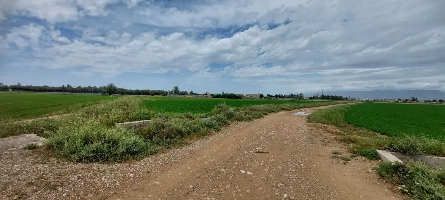 ۱۵۰۰ متر زمین برای فروش