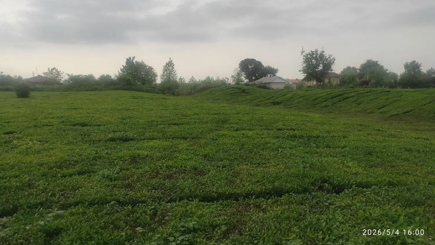 زمین ۳۰۰ متری