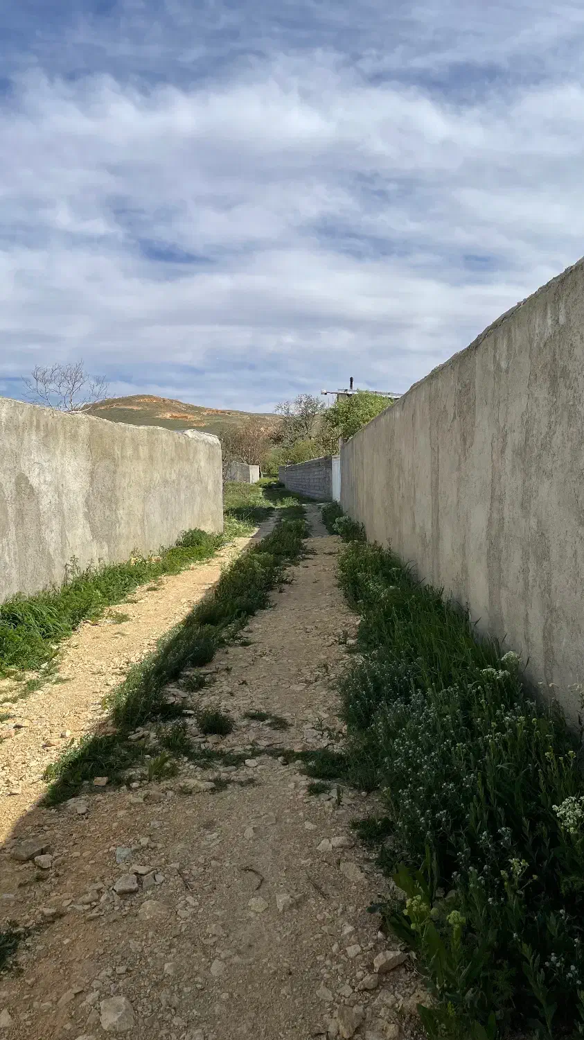 زمین باغ ۶۰۰ متری داخل ابشینه