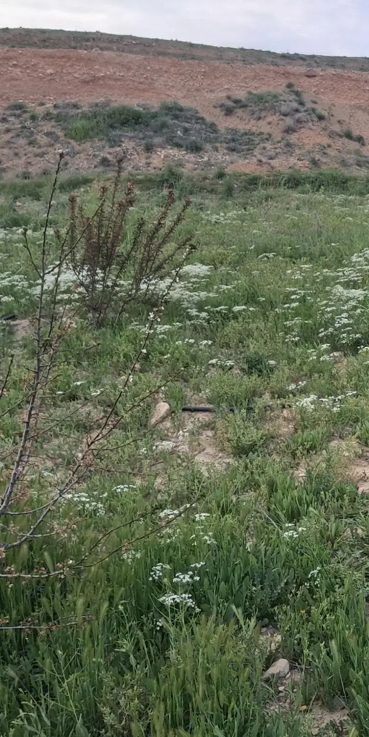 ۸۰۰ متر باغچه با آب