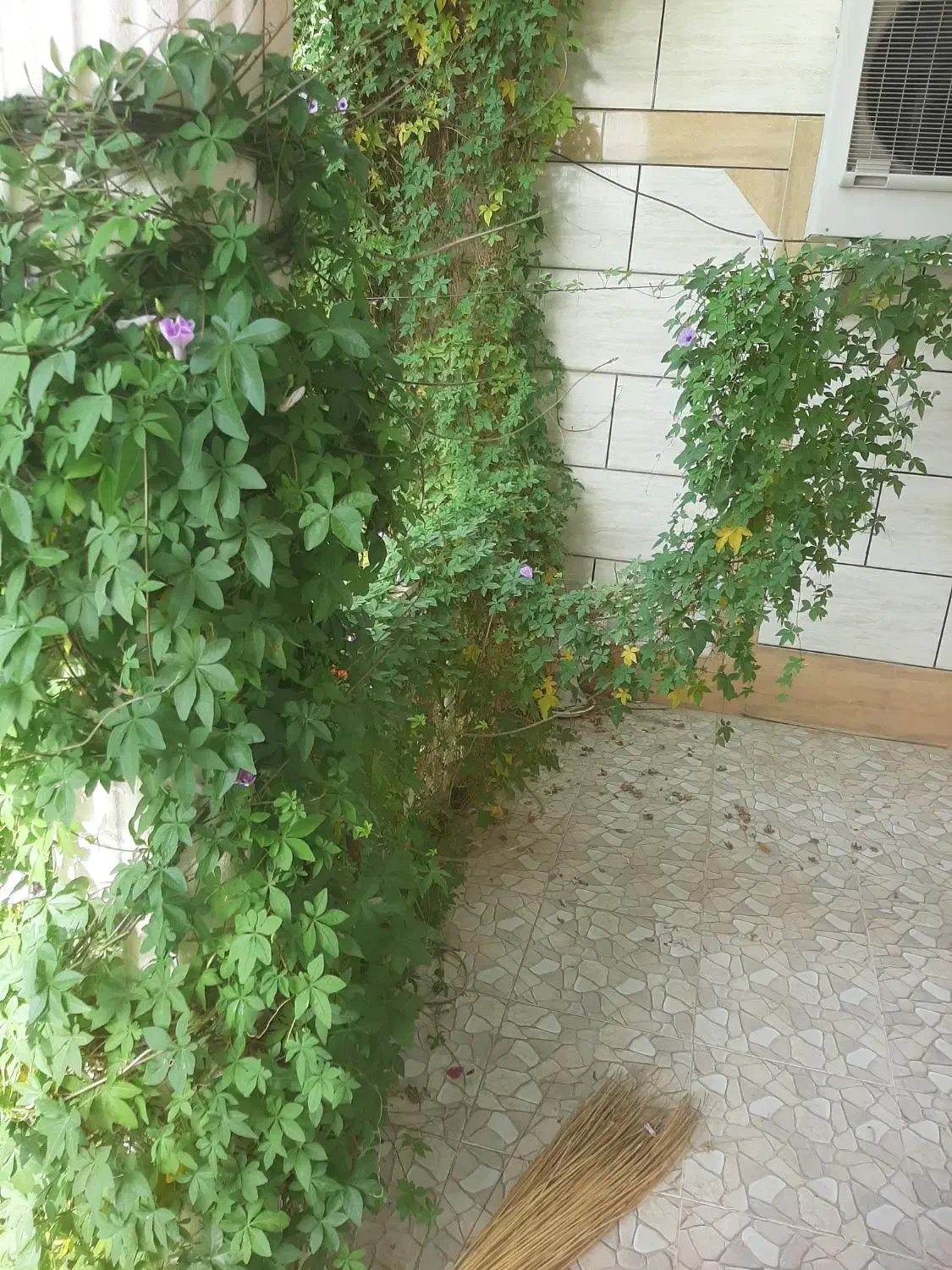 فروش مغازه اول خیابان  شریعتی ۳۲متری ابعاد ۸در۴