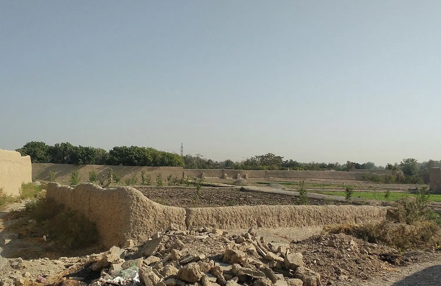 زمین باغی