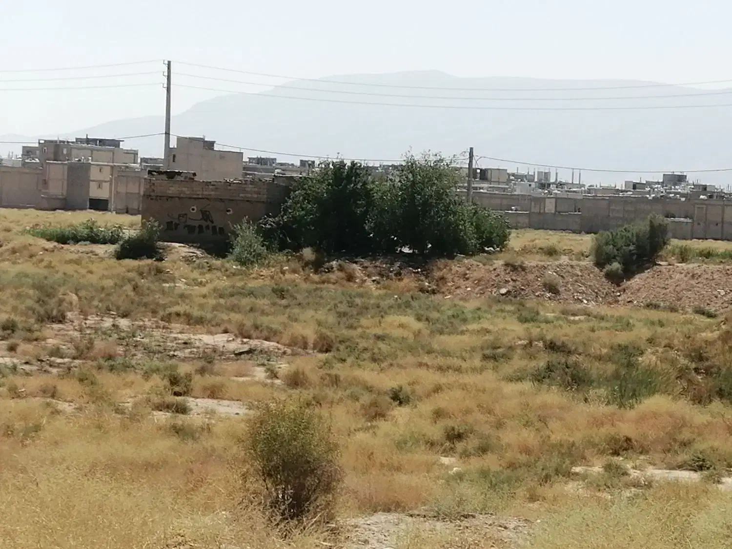 زمین