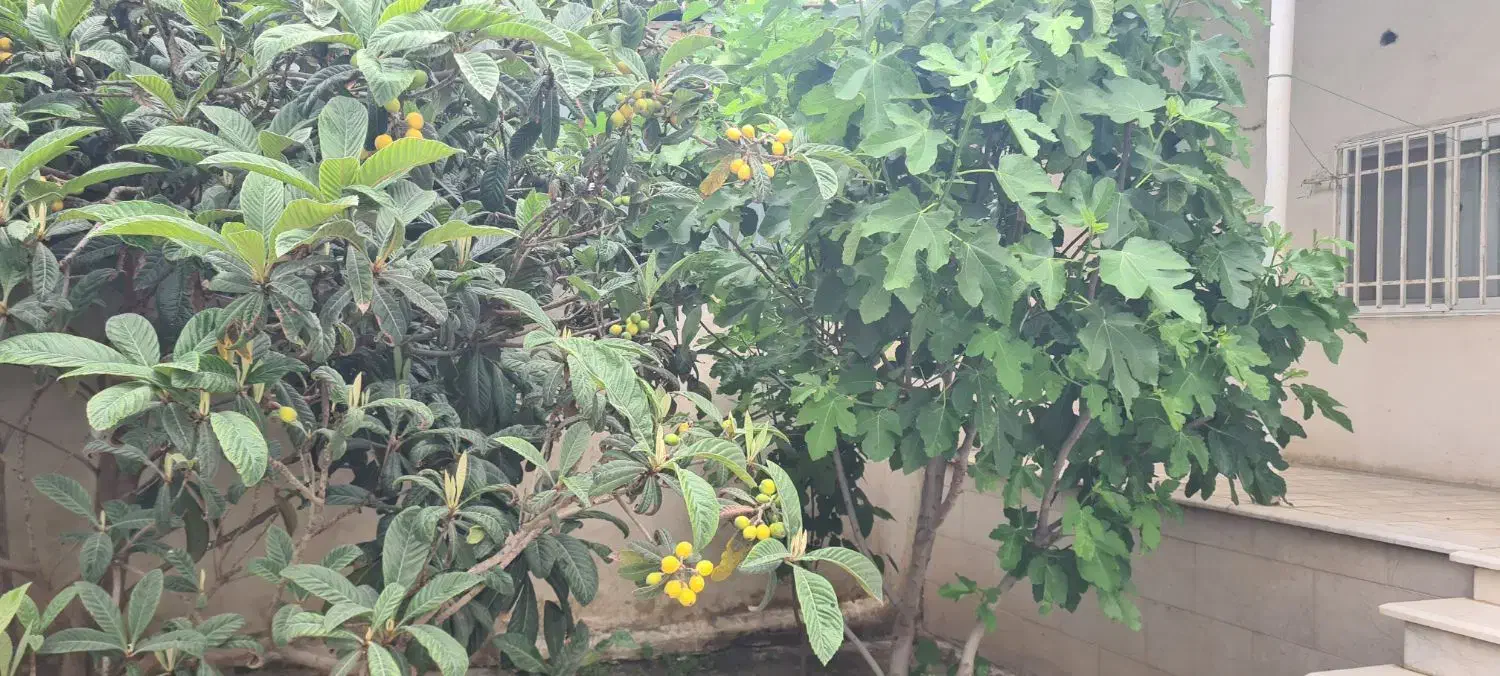 رهن کامل ویلایی خیابان خرمشهر تاکسی خور املاک دنیز